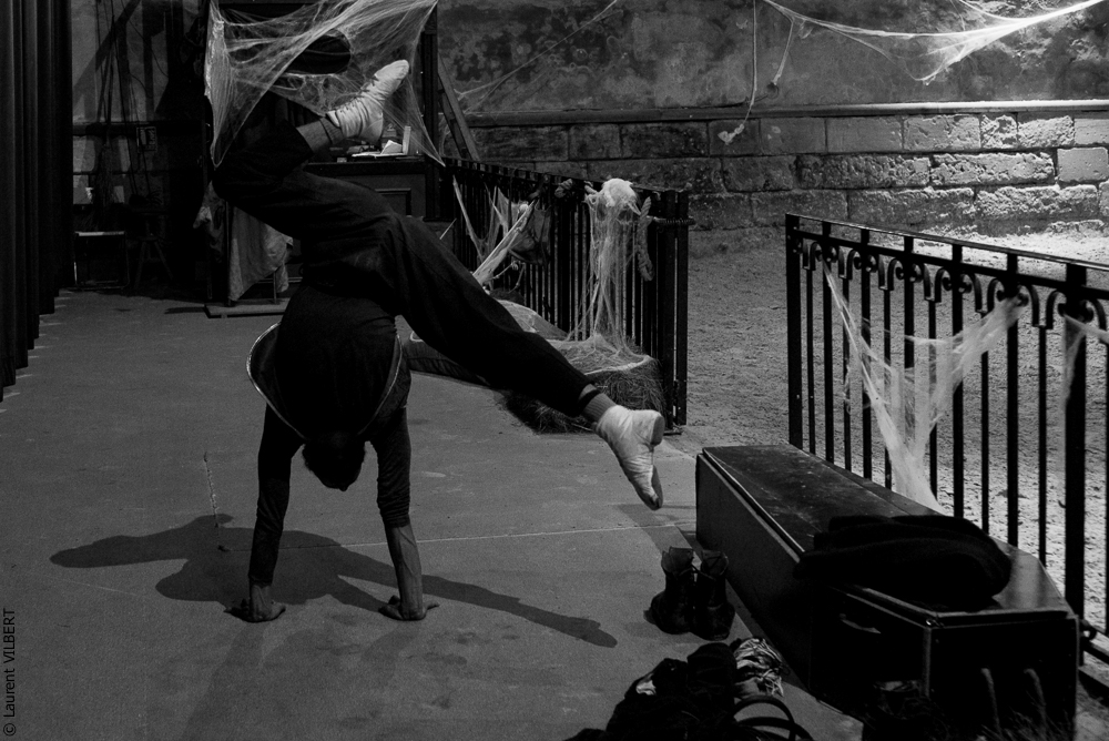 Haras Pin 20221103-0130