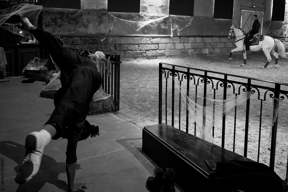 Haras Pin 20221103-0140