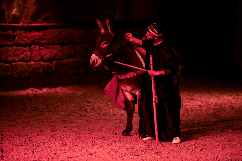 Haras Pin 20221103-0447