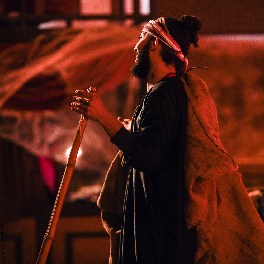 Haras Pin 20221103-0462