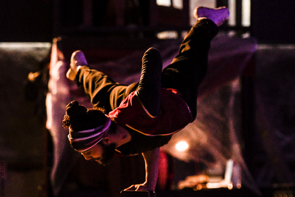 Haras Pin 20221103-0498