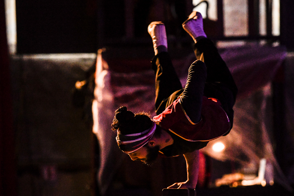 Haras Pin 20221103-0503