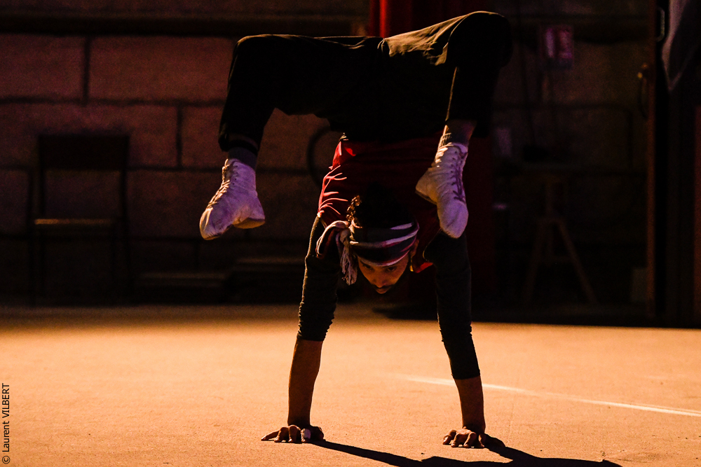 Haras Pin 20221103-0535