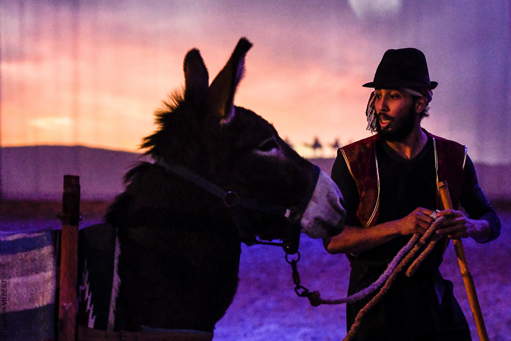 Haras Pin 20221103-0542