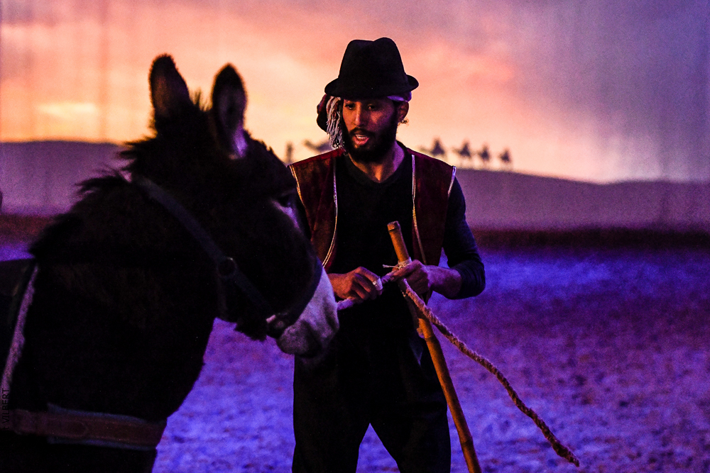 Haras Pin 20221103-0545