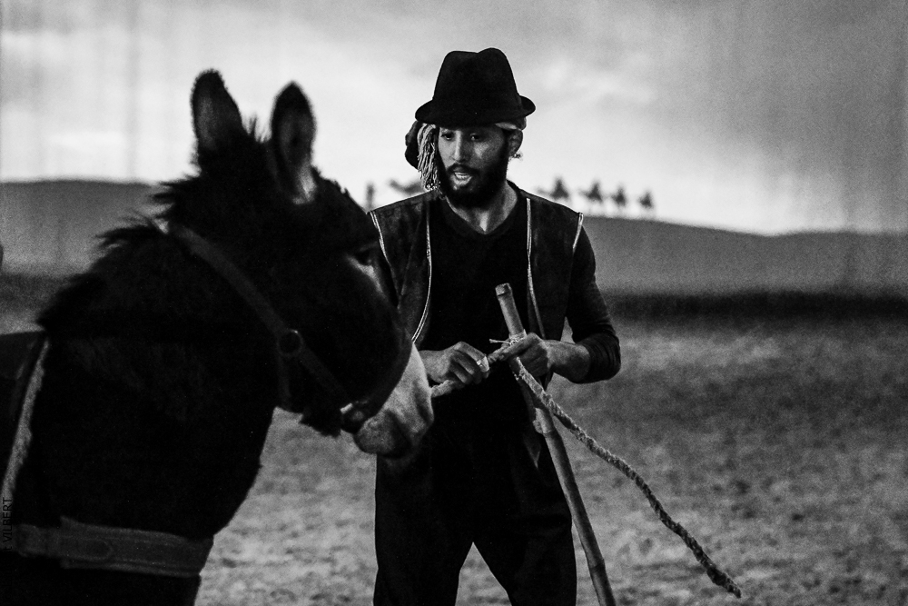 Haras Pin 20221103-0545