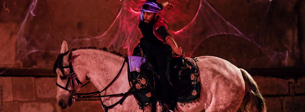 Haras Pin 20221103-1113