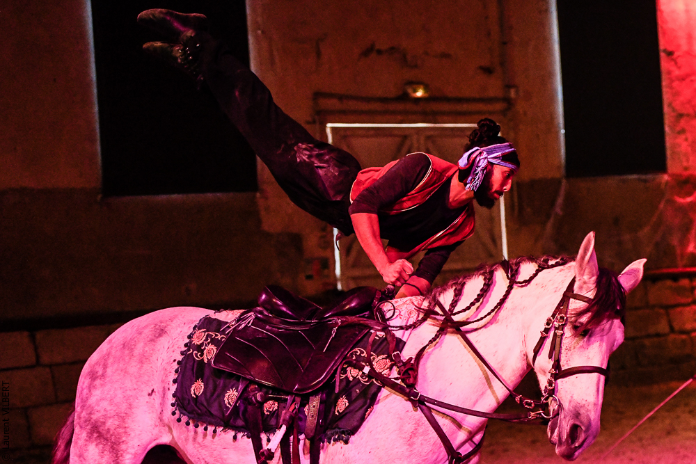 Haras Pin 20221103-1125