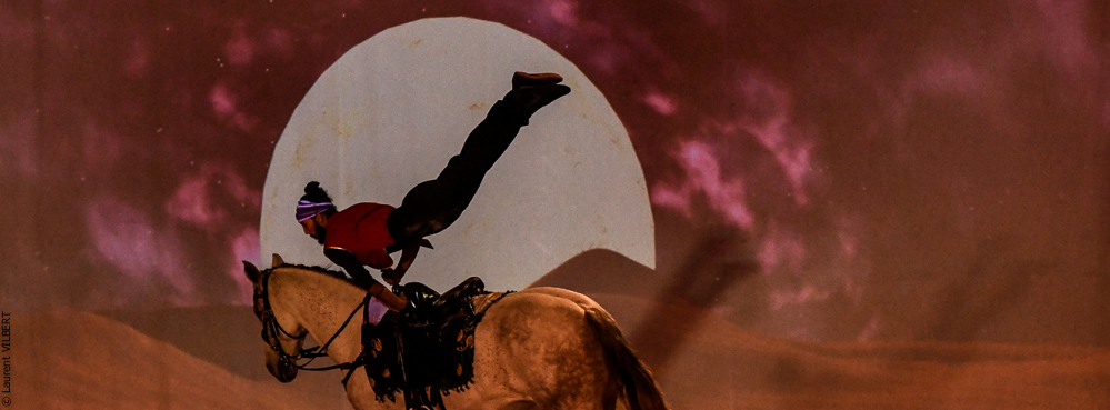 Haras Pin 20221103-1131