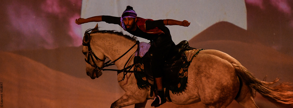 Haras Pin 20221103-1150