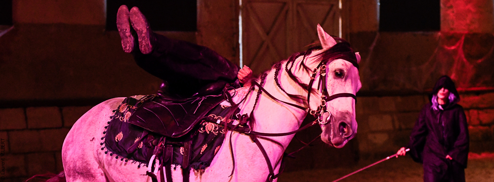 Haras Pin 20221103-1157