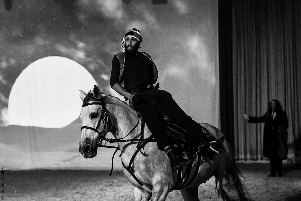 Haras Pin 20221103-1165