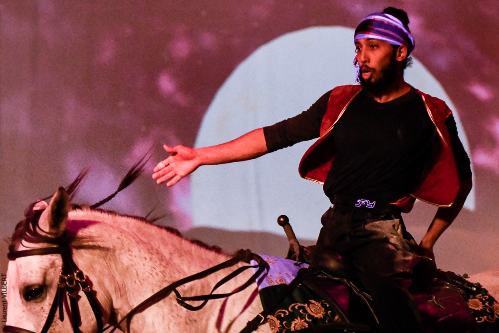 Haras Pin 20221103-1172