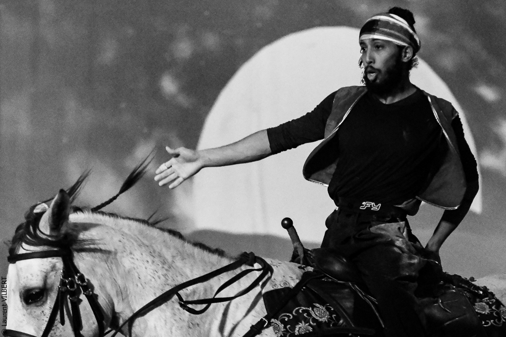 Haras Pin 20221103-1172