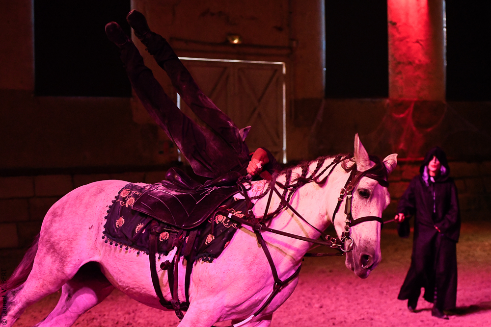 Haras Pin 20221103-1188