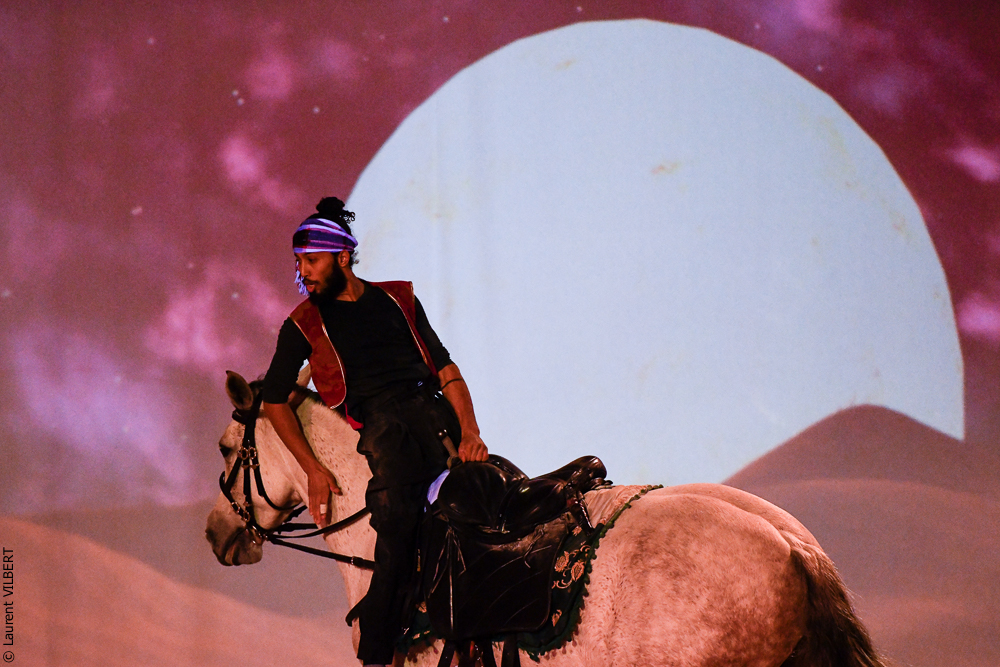 Haras Pin 20221103-1203