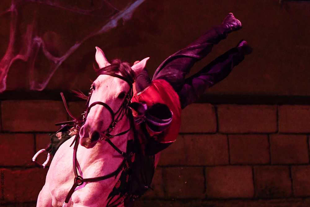 Haras Pin 20221103-1205