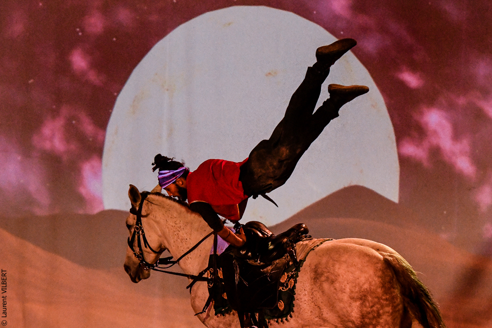 Haras Pin 20221103-1212