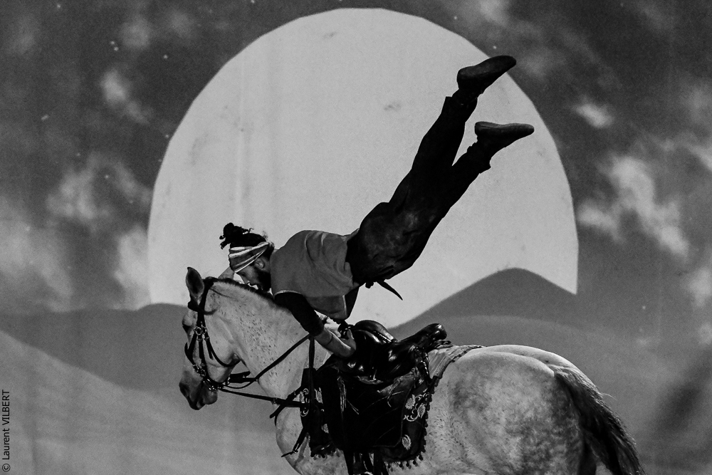 Haras Pin 20221103-1212