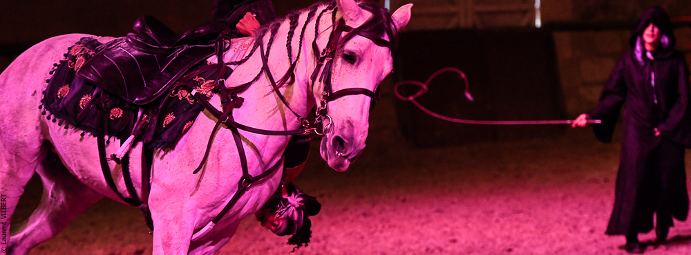 Haras Pin 20221103-1220