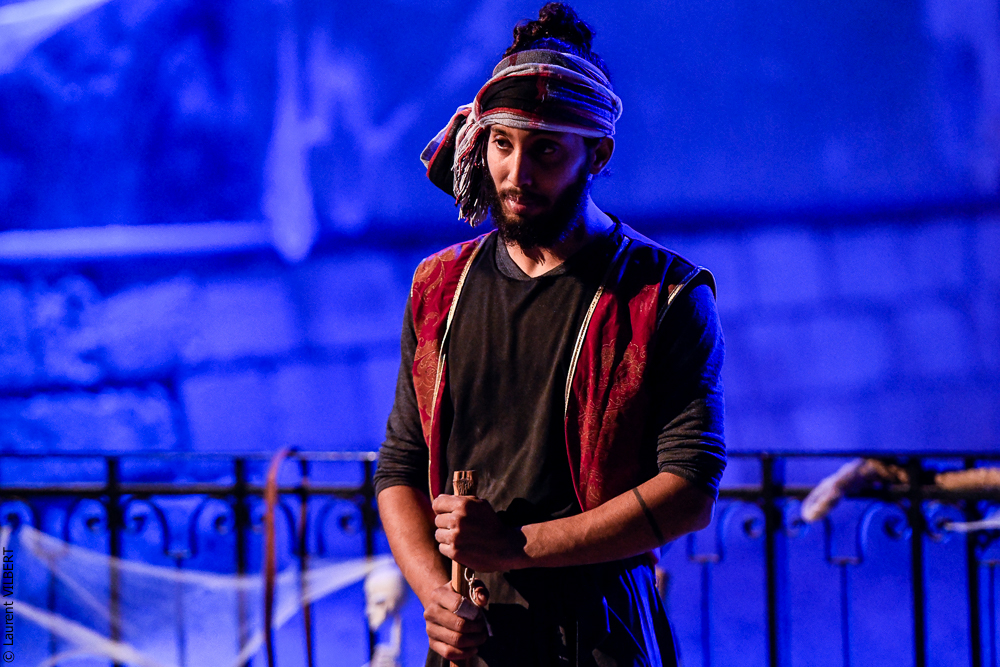 Haras Pin 20221103-2084