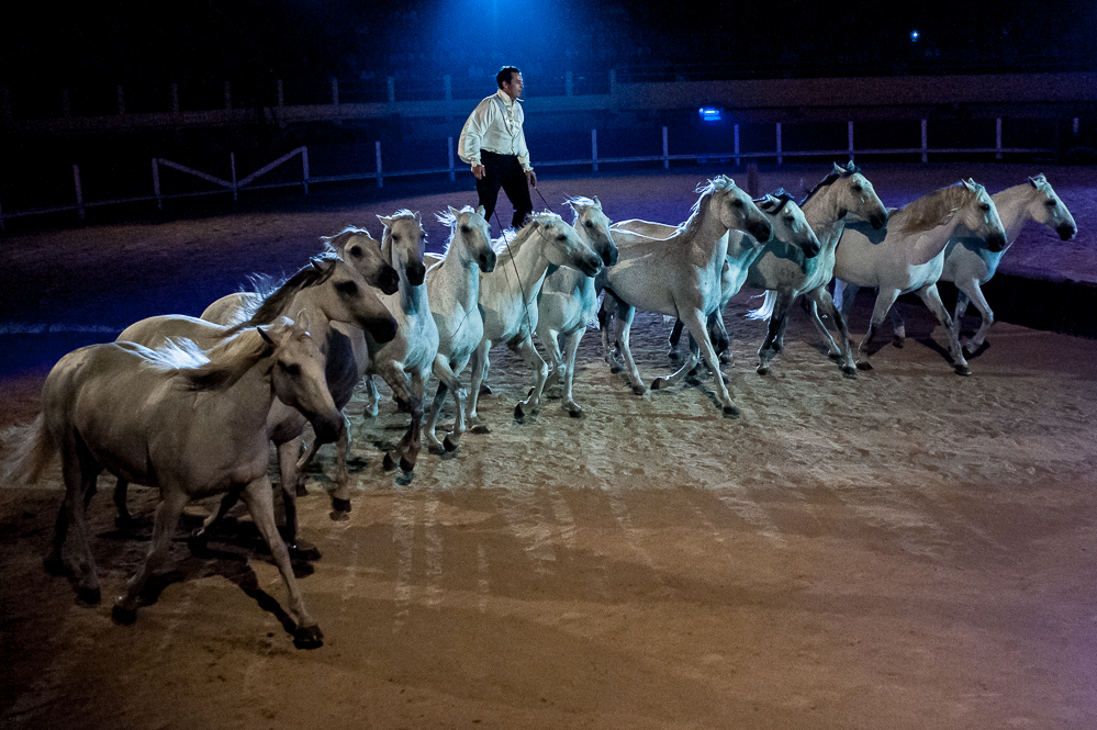 Saintes Maries 20120712-0165