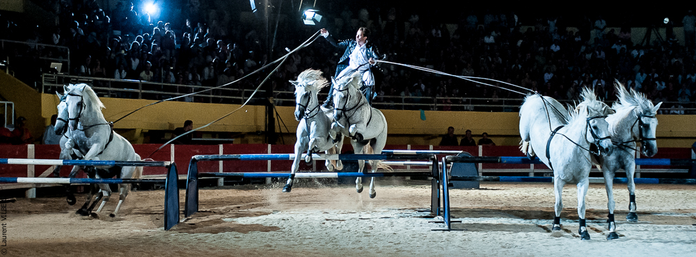 Saintes Maries 20120713-0311