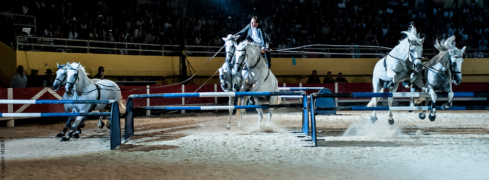 Saintes Maries 20120713-0316