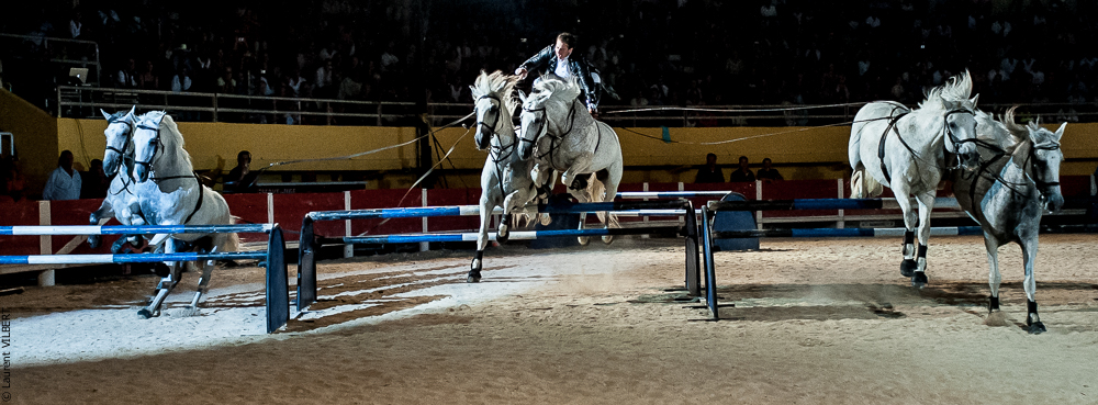 Saintes Maries 20120713-0317