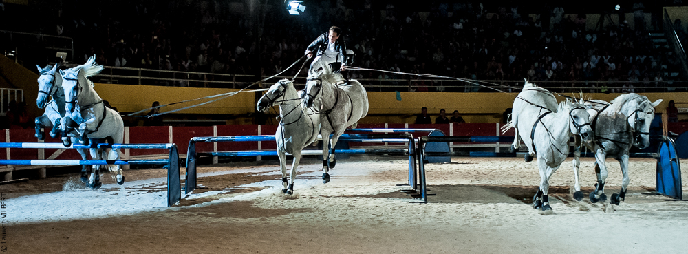 Saintes Maries 20120713-0318