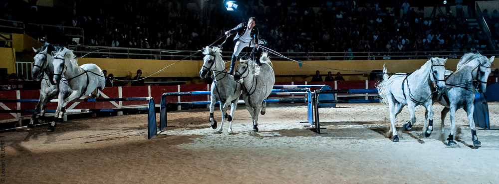 Saintes Maries 20120713-0319