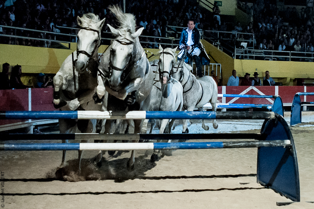 Saintes Maries 20120713-0325