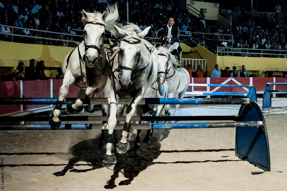 Saintes Maries 20120713-0326