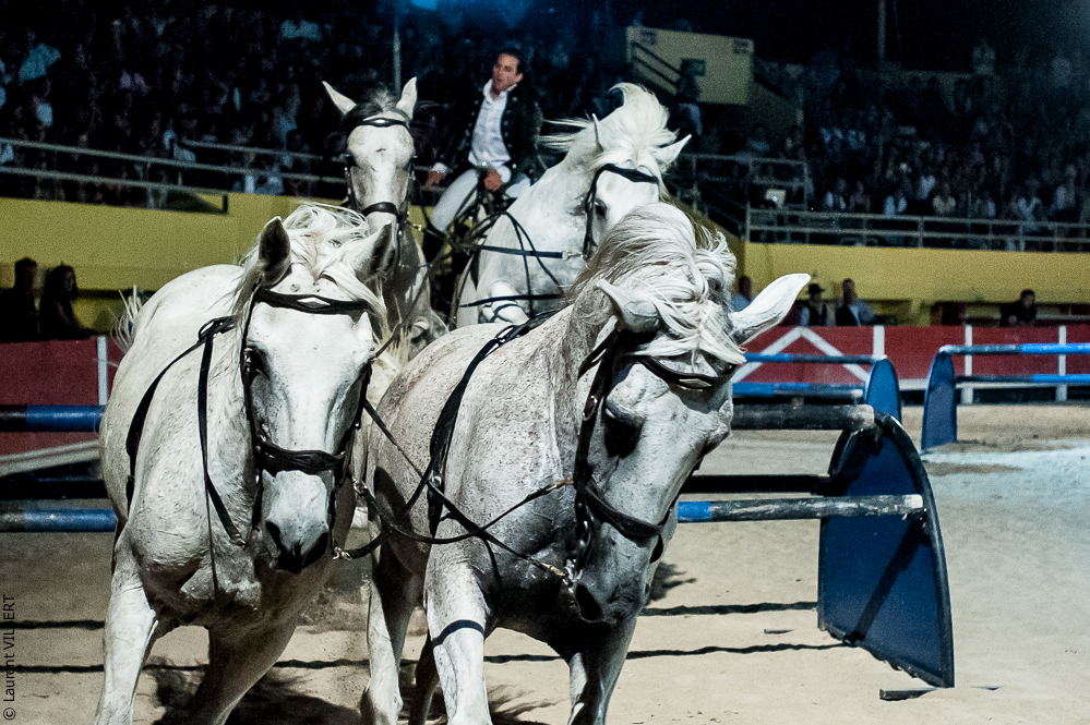 Saintes Maries 20120713-0328