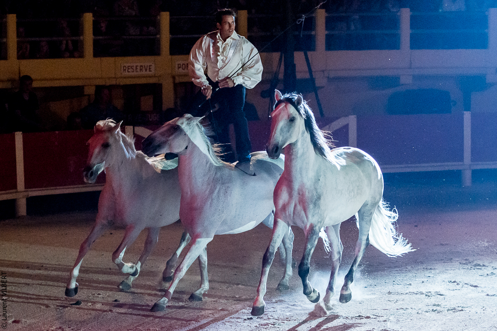 Saintes Maries 20130712-0409