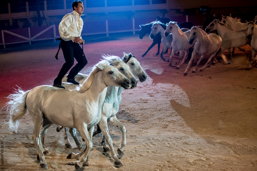 Saintes Maries 20130712-0416