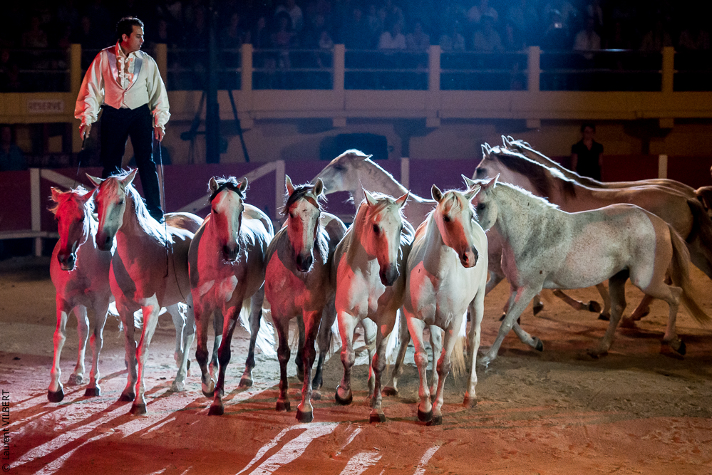Saintes Maries 20130712-0429