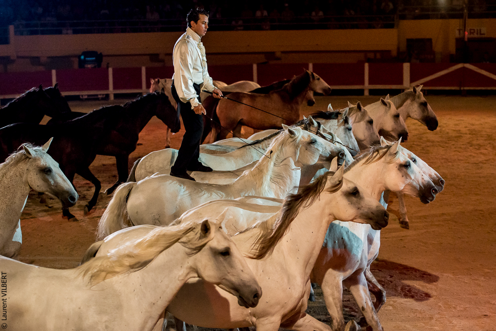 Saintes Maries 20130712-0441