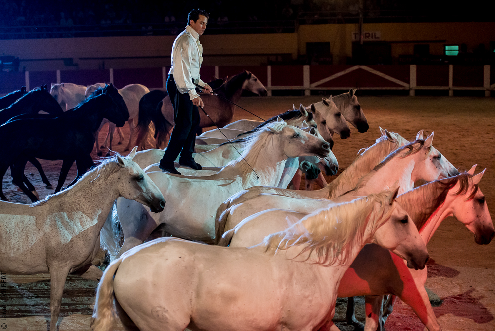 Saintes Maries 20130712-0445