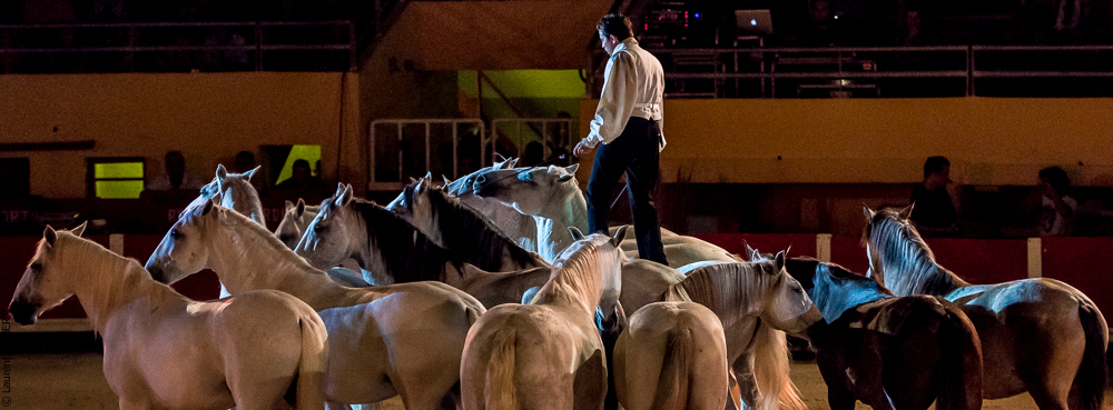 Saintes Maries 20130712-0458