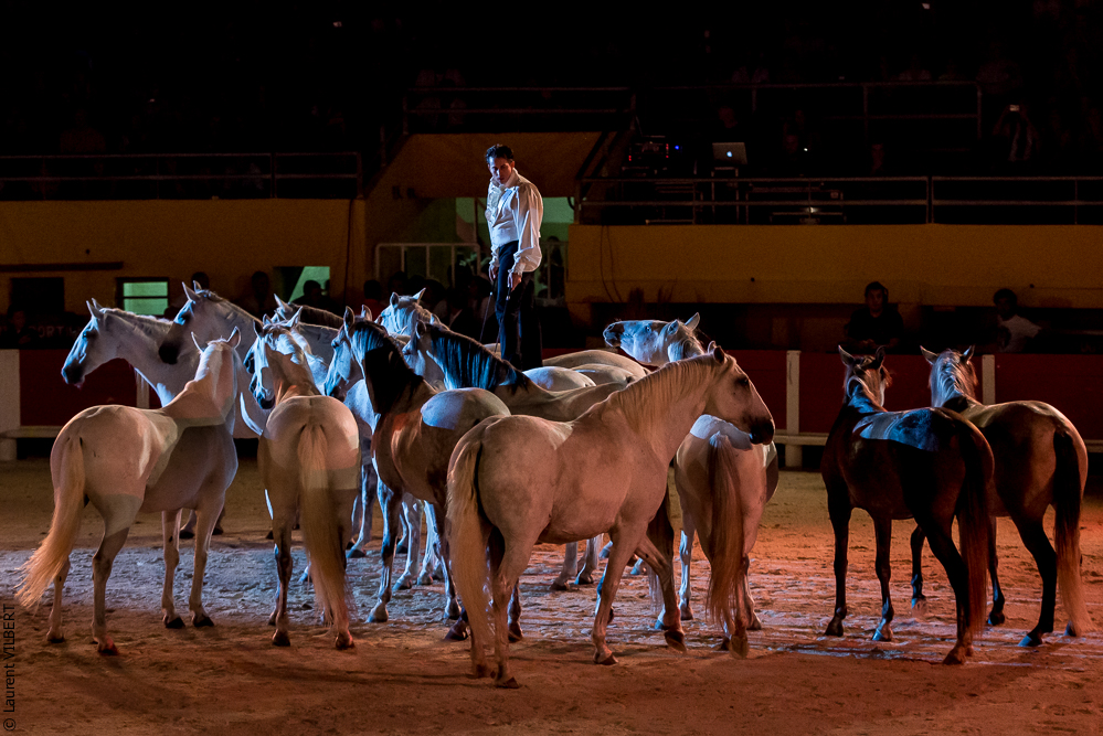 Saintes Maries 20130712-0465