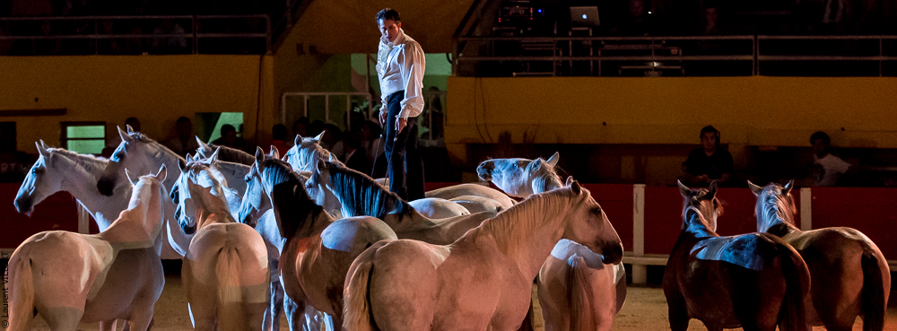 Saintes Maries 20130712-0465