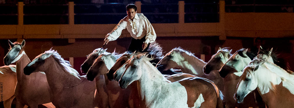 Saintes Maries 20130712-0479
