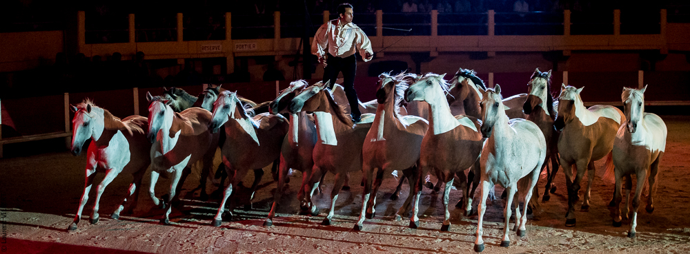 Saintes Maries 20130712-0485