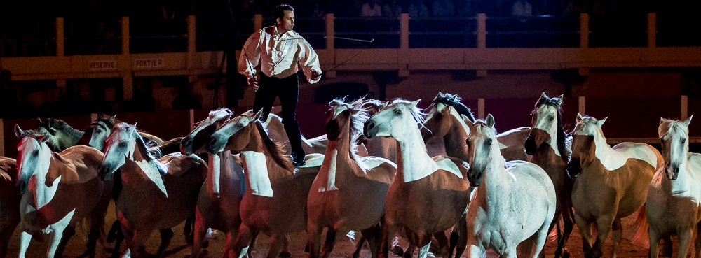 Saintes Maries 20130712-0485
