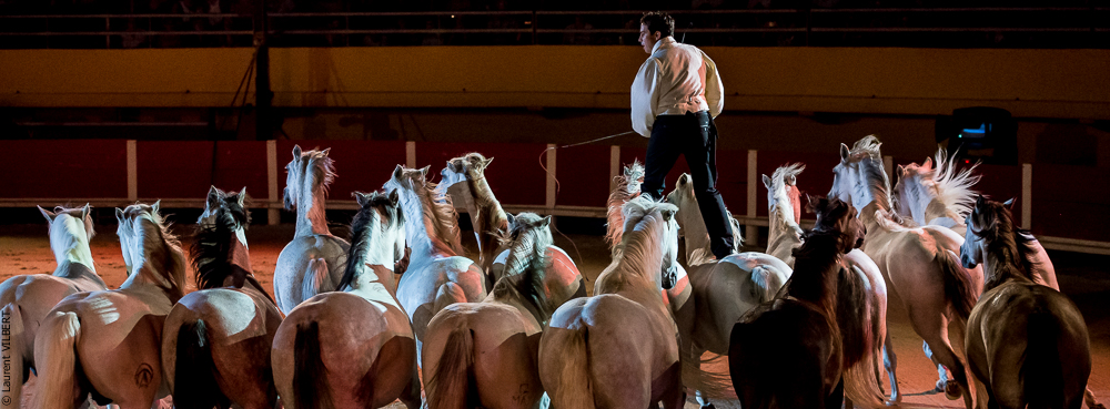 Saintes Maries 20130712-0493