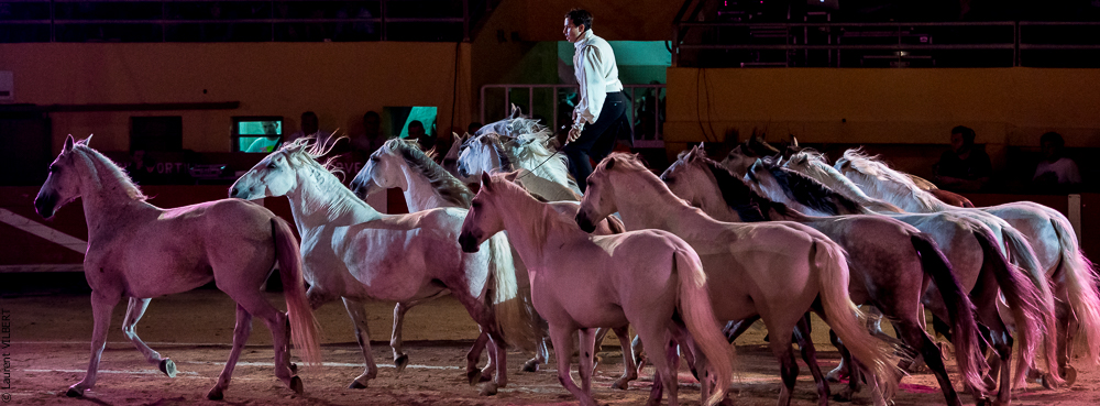 Saintes Maries 20130712-0497