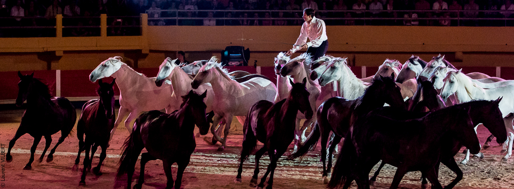 Saintes Maries 20130712-0503