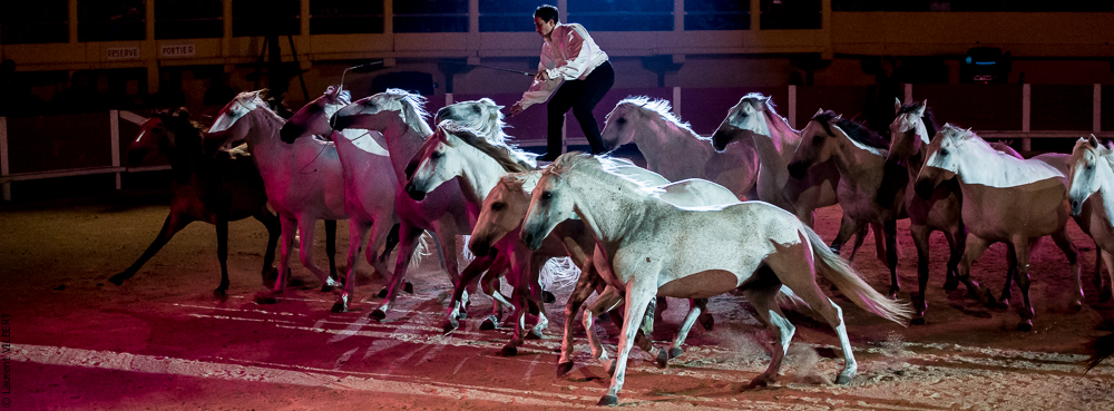 Saintes Maries 20130712-0511