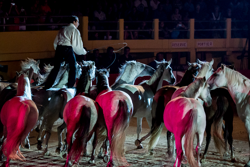 Saintes Maries 20130712-0517